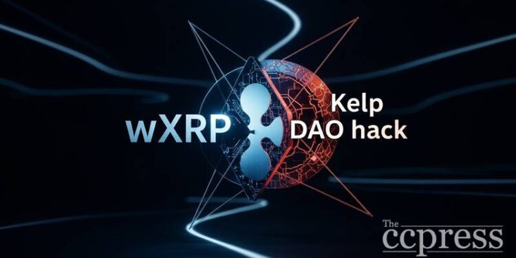 hex trust says wxrp has no exposure to kelp dao hack thumbnail