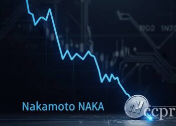 nakamoto naka hits new all time low at 0 20 thumbnail