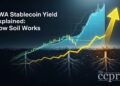 rwa stablecoin yield explained soil thumbnail
