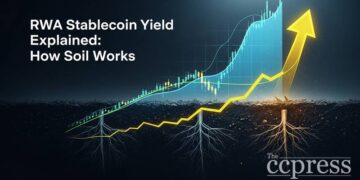 rwa stablecoin yield explained soil thumbnail