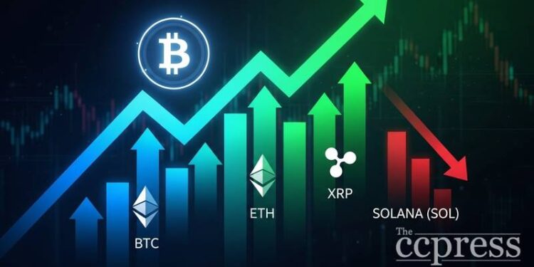 spot etf flows btc eth xrp sol thumbnail