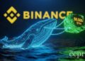 whale wallet withdrew 80000 eth from binance report thumbnail