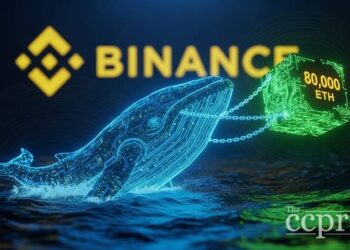 whale wallet withdrew 80000 eth from binance report thumbnail