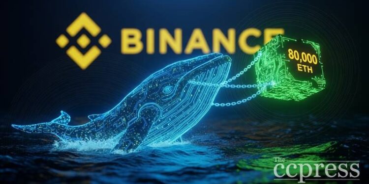 whale wallet withdrew 80000 eth from binance report thumbnail