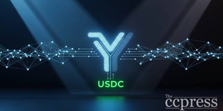 y combinator totalis 500k usdc funding thumbnail