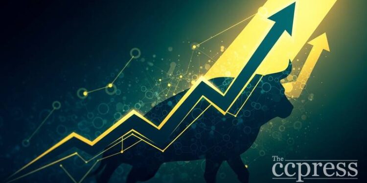 dan bin fund bought over 3 million circle shares thumbnail