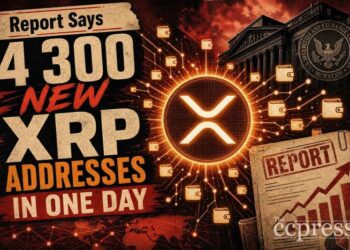 Report Says 4,300 New XRP Addresses Were Created in One Day Thumbnail