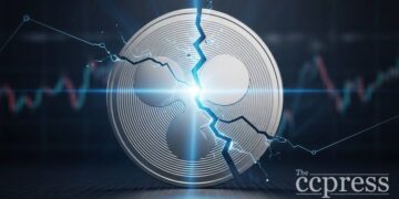 xrp news david schwartz backs new xrpl meme coin thumbnail